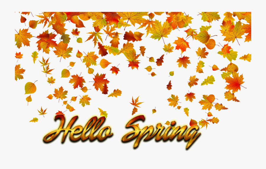Hello Spring Png Background - Fall Leaves Transparent Background, Transparent Clipart