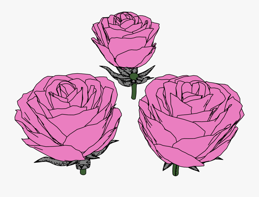 Garden Roses, Transparent Clipart