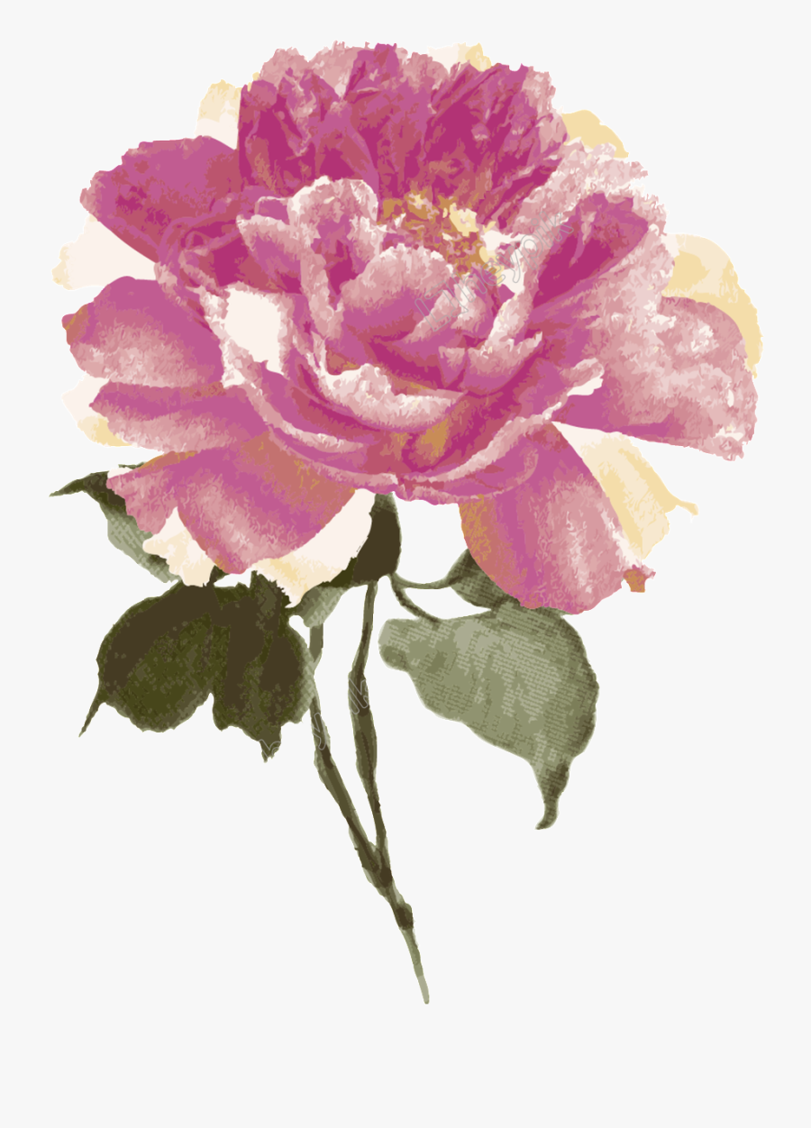 Flower Bud Png - Floribunda, Transparent Clipart