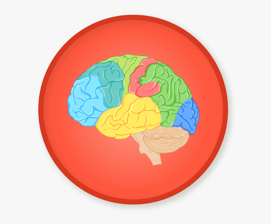 Win A Badge And Coins - Circle, Transparent Clipart