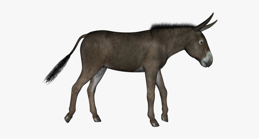 Download This High Resolution Donkey Icon Png - Carnival Animals, Transparent Clipart