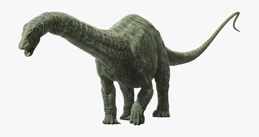 Jurassic World Fallen Kingdom Apatosaurus, Transparent Clipart