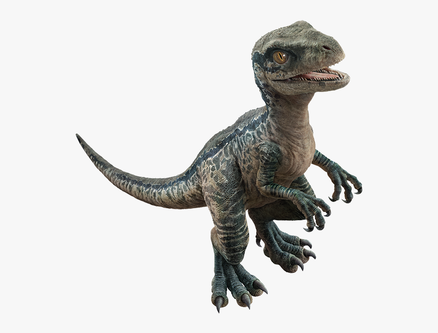 @jurassicworld - Ankylosaurus - Apatosaurus - Baby - Jurassic World Fallen Kingdom Baby Raptor, Transparent Clipart