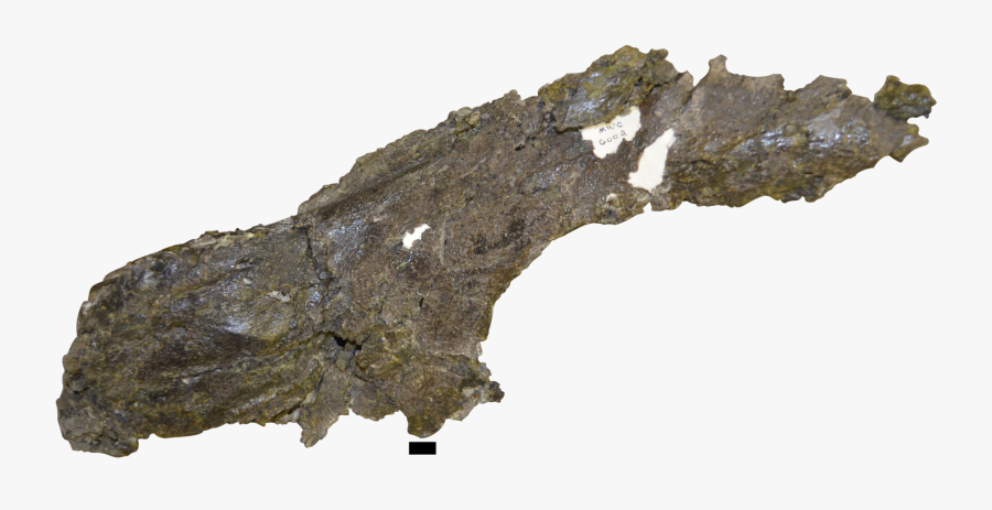 Igneous Rock, Transparent Clipart