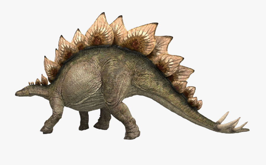 Ankylosaurus, Transparent Clipart