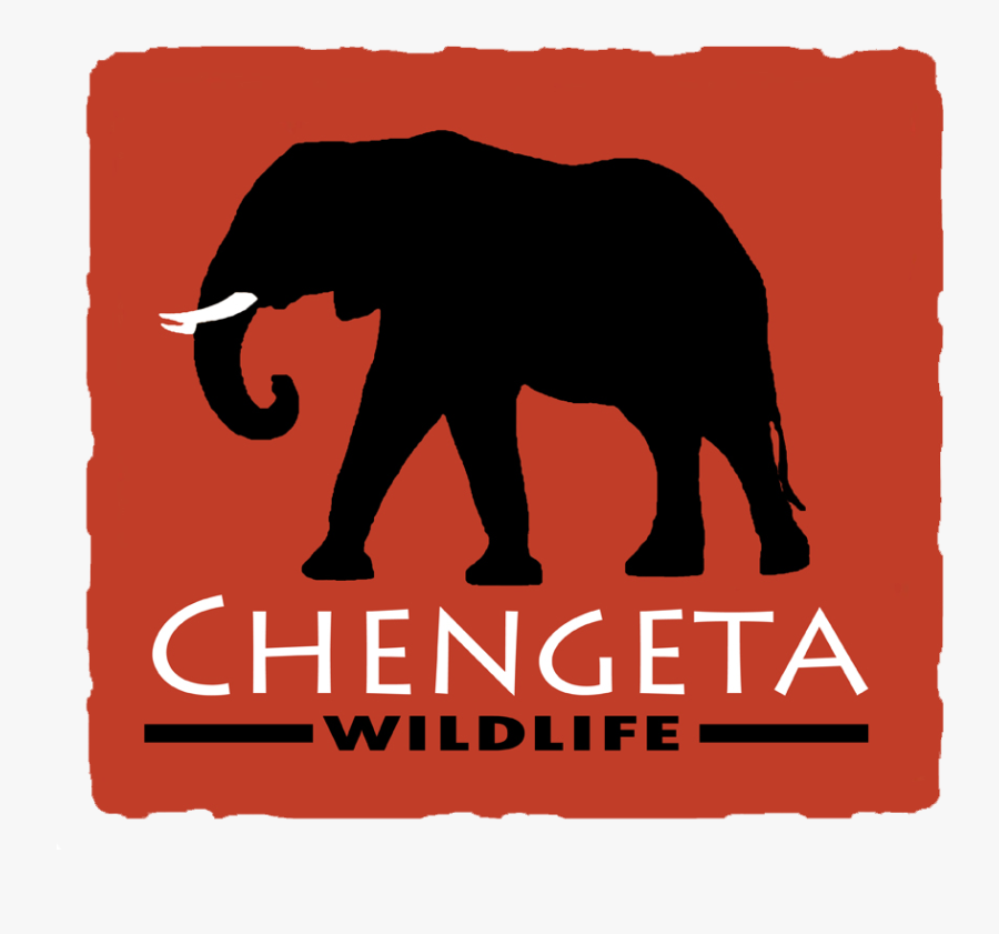 Indian Elephant, Transparent Clipart