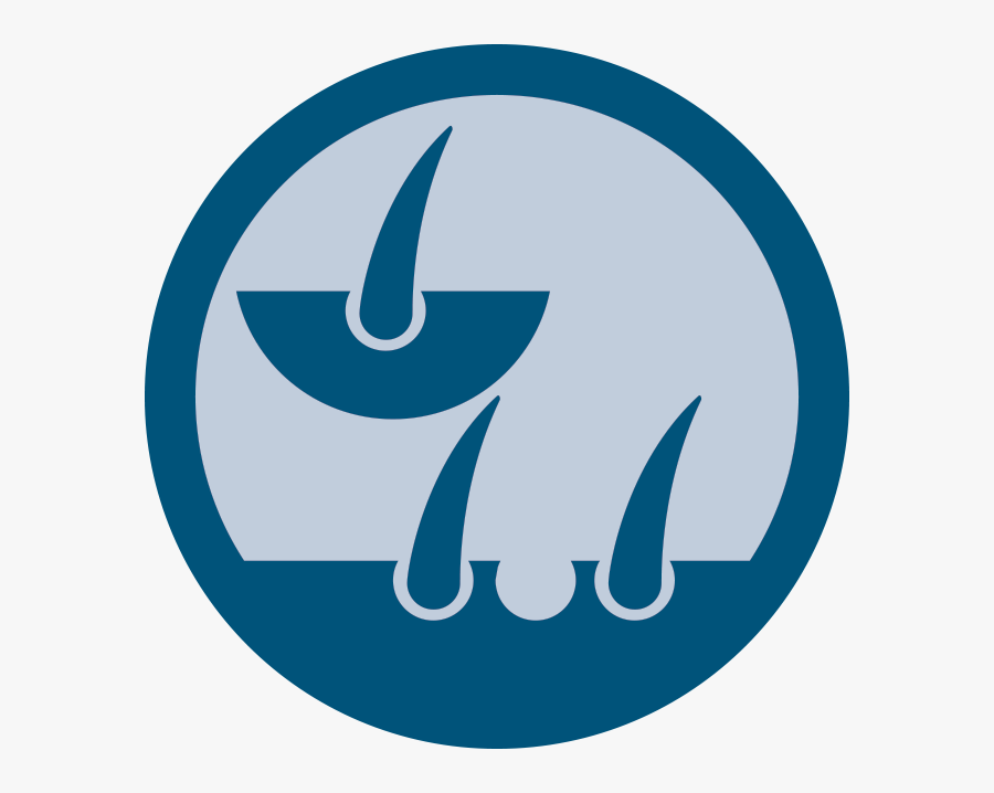 Down Steal This Album, Transparent Clipart