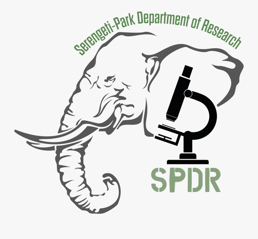Serengeti-park Department Of Research - Black Outline Indian Elephant, Transparent Clipart