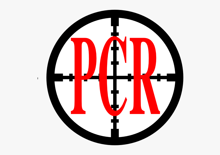 Circle, Transparent Clipart