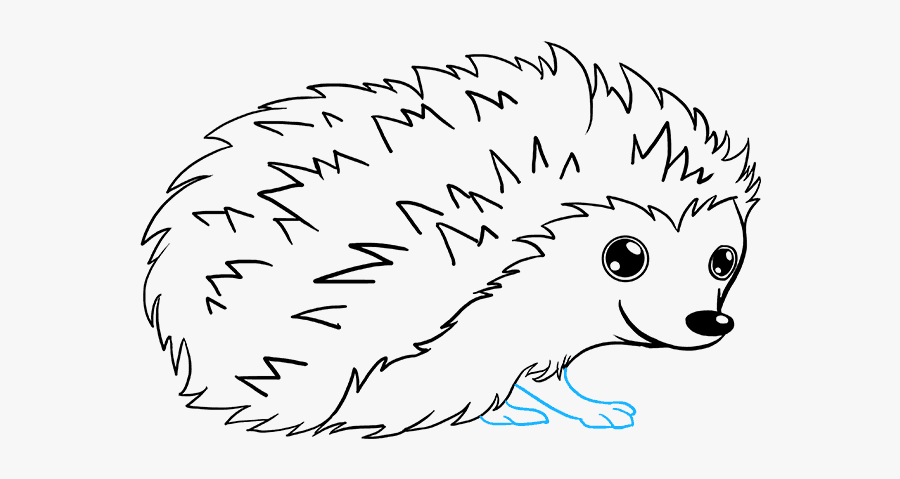 Drawn Hedgehog Ball Drawing - Draw A Cartoon Hedgehog, Transparent Clipart