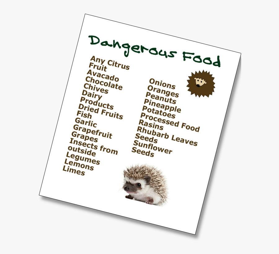 Clip Art What Do Eat Animals - Stuff For Hedgehogs, Transparent Clipart