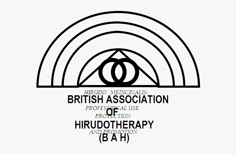 Clip Art Leech Therapy - British Sugar, Transparent Clipart