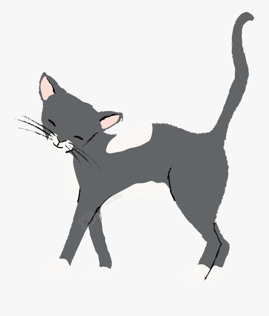 Transparent Cat Walking Png - Gato Dibujo Png, Transparent Clipart