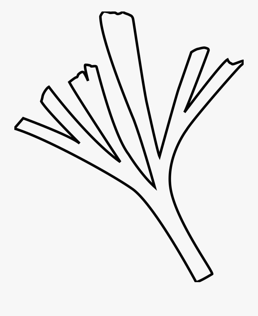 Fossil Library Download Leaf Huge Freebie Download - Baiera, Transparent Clipart