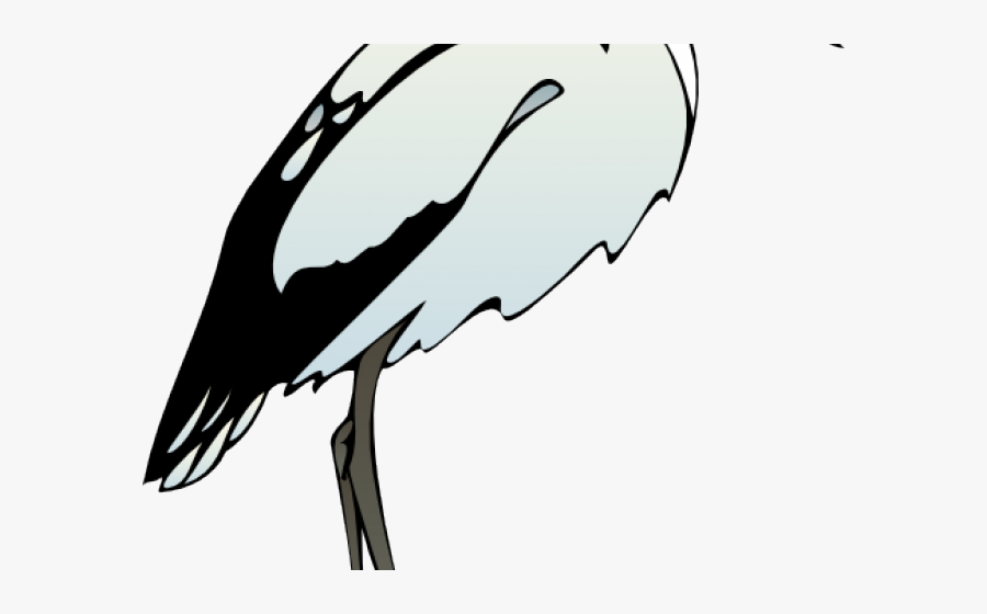 Ibis Clipart, Transparent Clipart