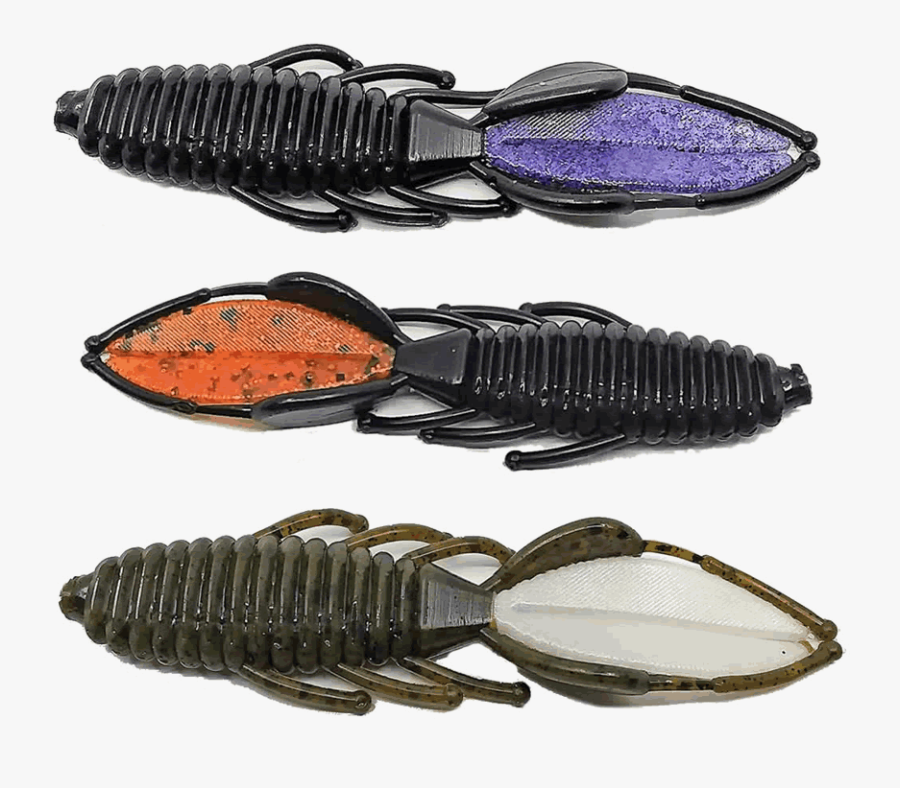 Transparent Bass Fish Png - House Fly, Transparent Clipart