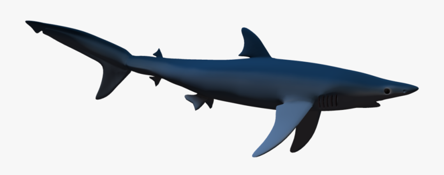 Blue Shark Png, Transparent Clipart