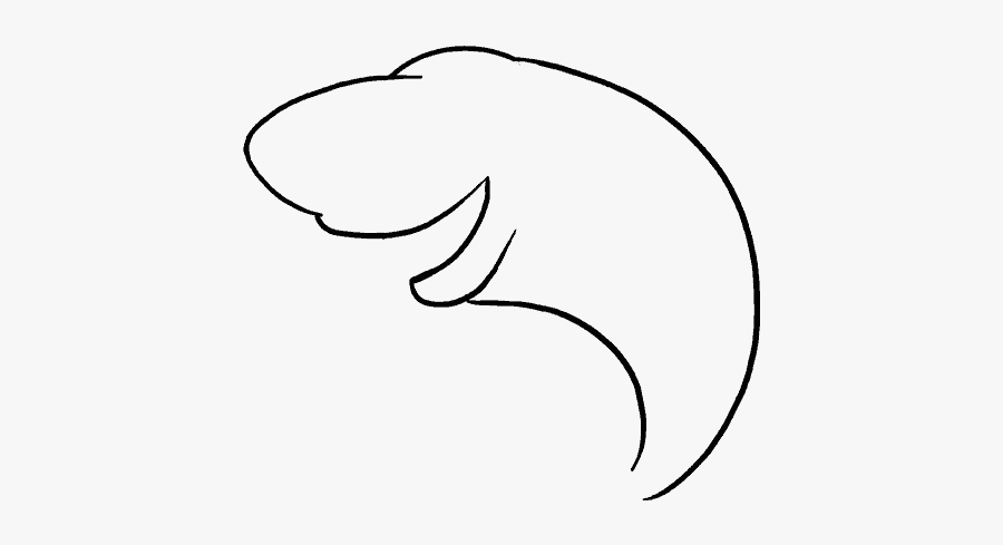 How To Draw A Cartoon Shark Easy Step - Line Art, Transparent Clipart