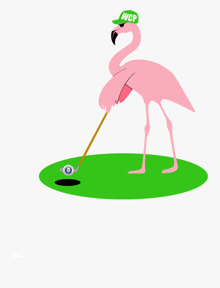 Greater Flamingo, Transparent Clipart