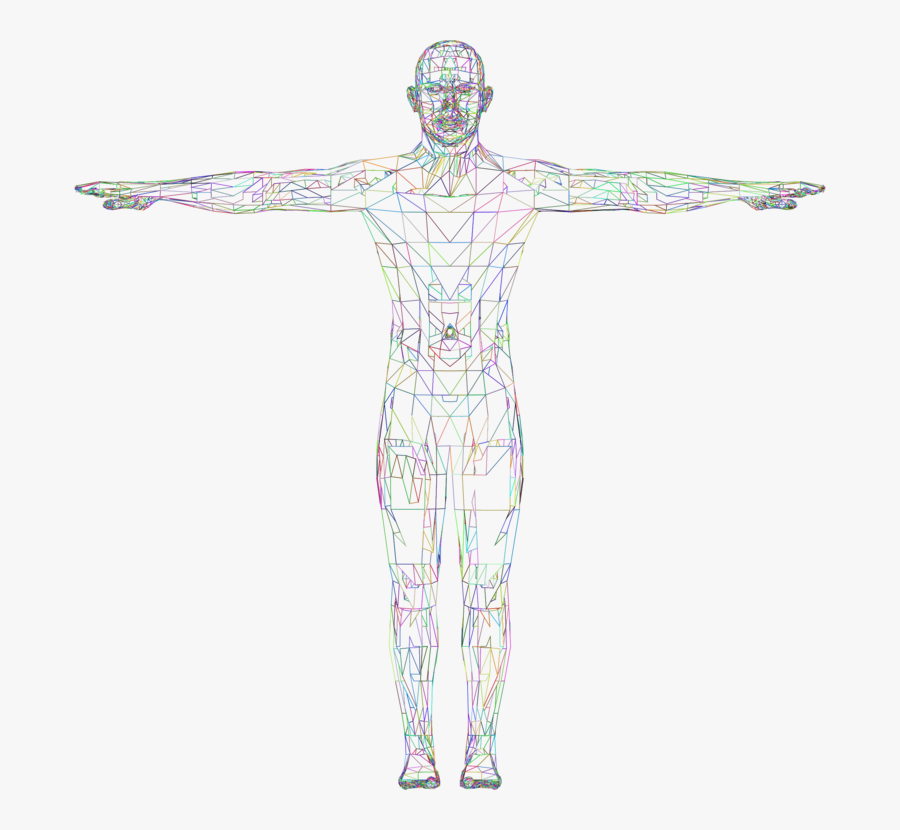 Shoulder,standing,muscle - 3d Wireframe Body Png, Transparent Clipart
