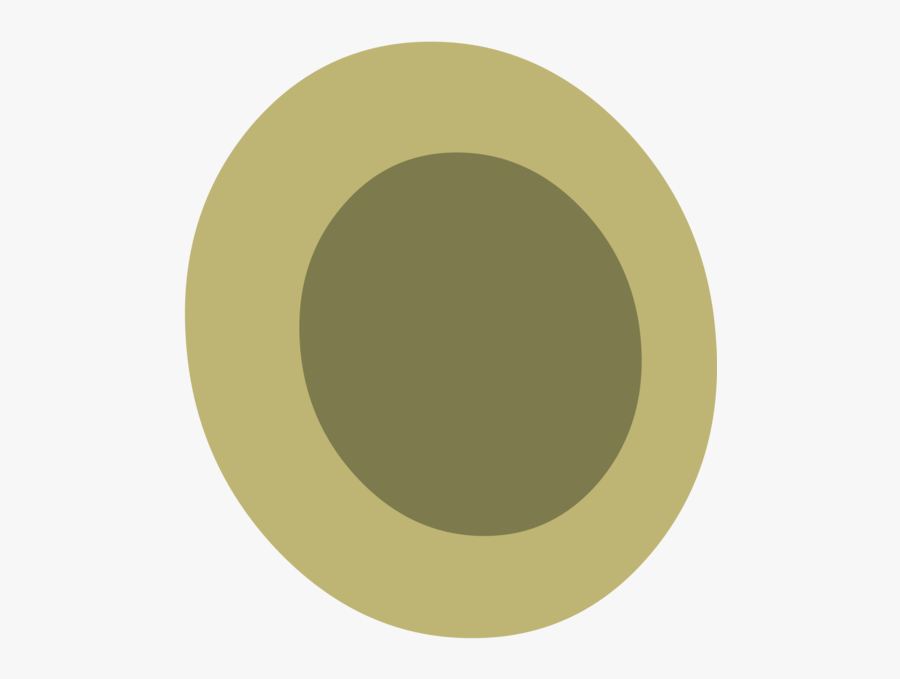 Circle, Transparent Clipart