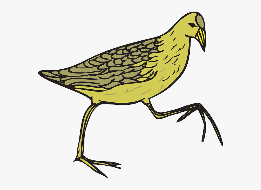 Cartoon Bird With Feathers, Transparent Clipart