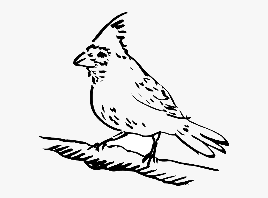 Transparent Whine Clipart - Perched Clipart, Transparent Clipart