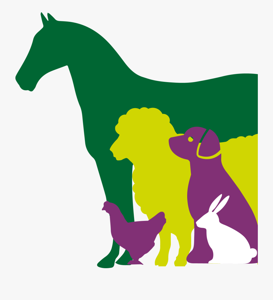 Use At Home - Illustration, Transparent Clipart