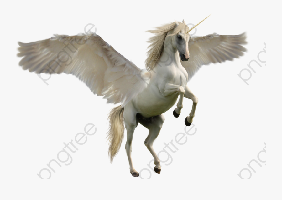 Winged Unicorn Clipart Wing - Unicorn Horse, Transparent Clipart
