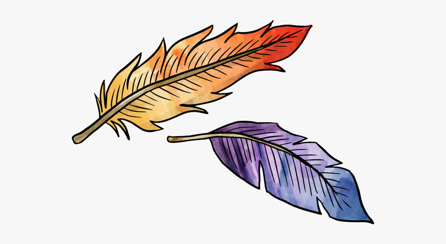 Brazil Photoshop Adobe Portable Ada Ornament Design, Transparent Clipart