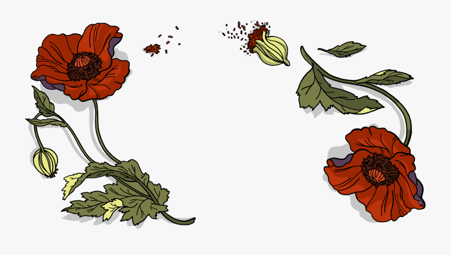 Clip Art, Transparent Clipart