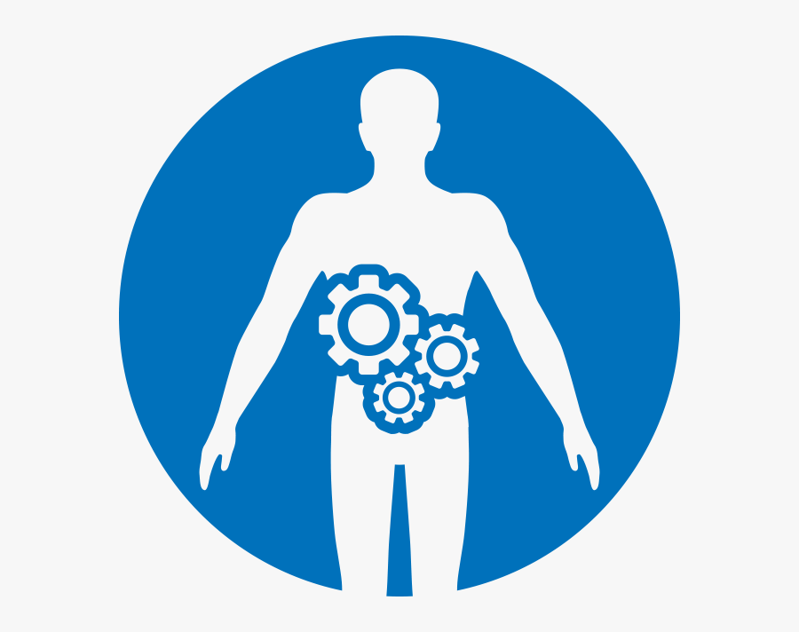 Illustration, Transparent Clipart