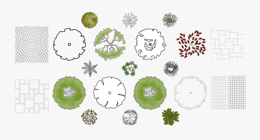 Free Symbols For Autocad - Landscape Architecture Plant Drawing, Transparent Clipart