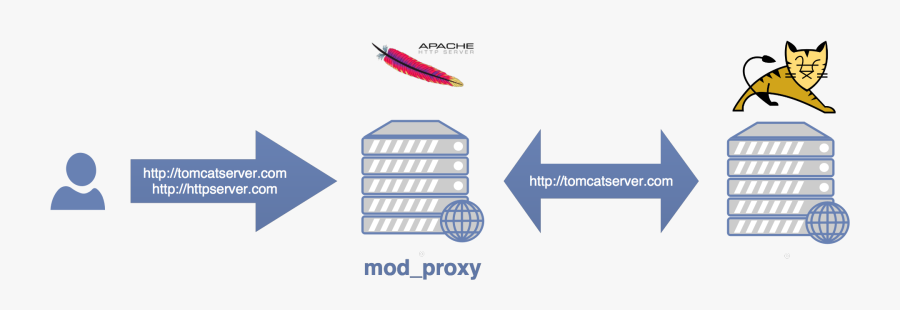 Apache Transparent Proxy - Apache Tomcat, Transparent Clipart