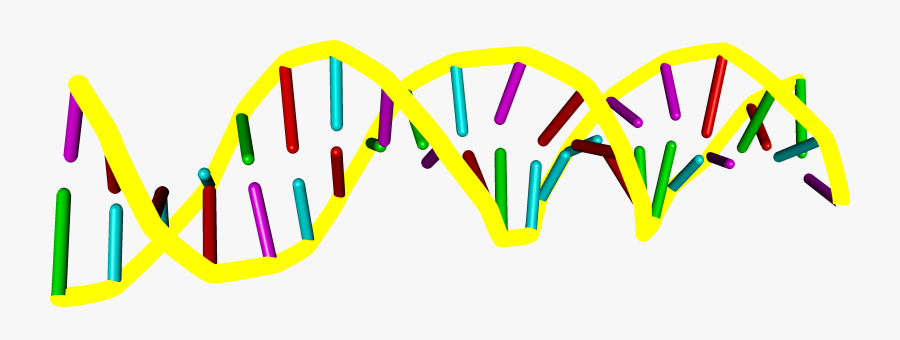 Enter Image Description Here - Graphic Design, Transparent Clipart