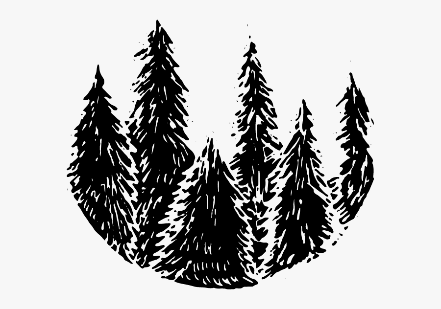 Transparent Forest Trees Png - Illustration, Transparent Clipart