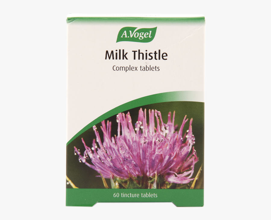 Clip Art Milk Thistle Flower - Vogel Milk Thistle Complex Tablets, Transparent Clipart