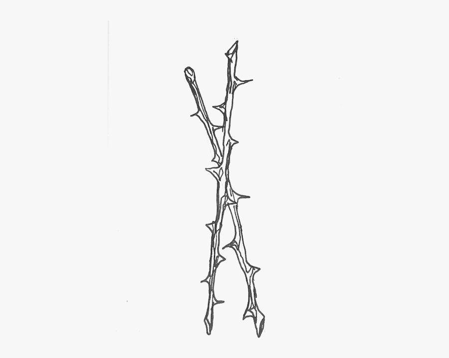 Choker Drawing Thorn - Rose Thorns Png, Transparent Clipart