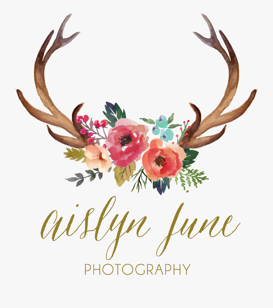 Antler Watercolor Painting Clip - Antlers And Flowers Clipart, Transparent Clipart