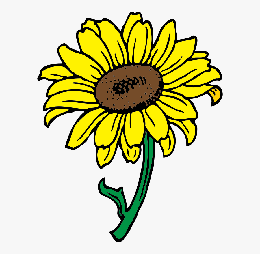 Sunflower Clipart Transparent Background - Sunflower Flower Clip Art, Transparent Clipart