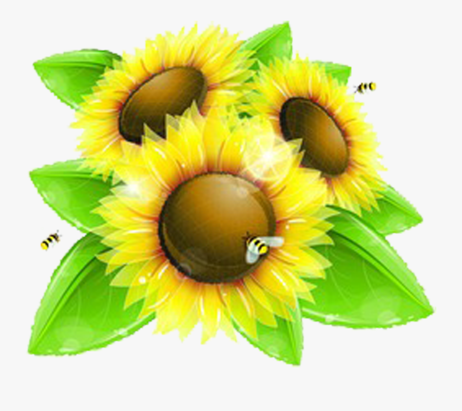 Sunflowers Clipart Bee, Transparent Clipart