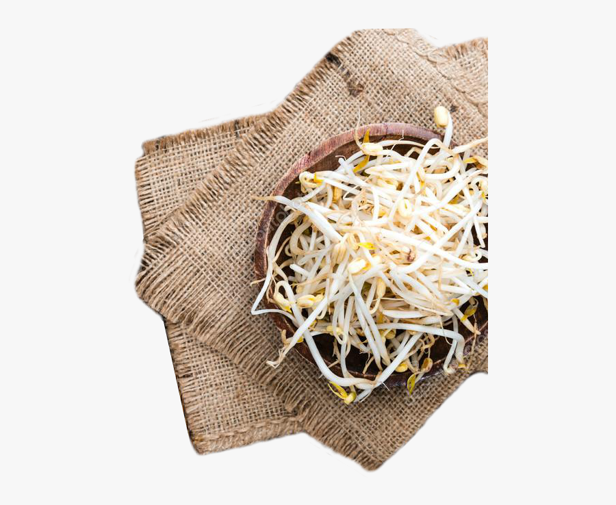Sprouts In A Bowl - Mung Bean, Transparent Clipart
