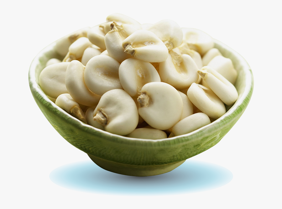 Broad Bean, Transparent Clipart