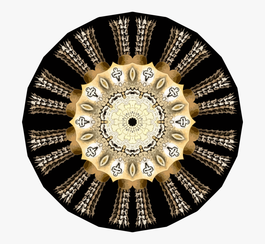 Szavak Alakja És Szerkezete, Transparent Clipart