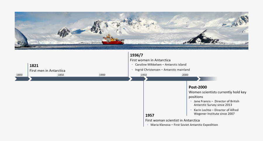 Transparent Scar Png - Scar Island Timeline Of Events, Transparent Clipart