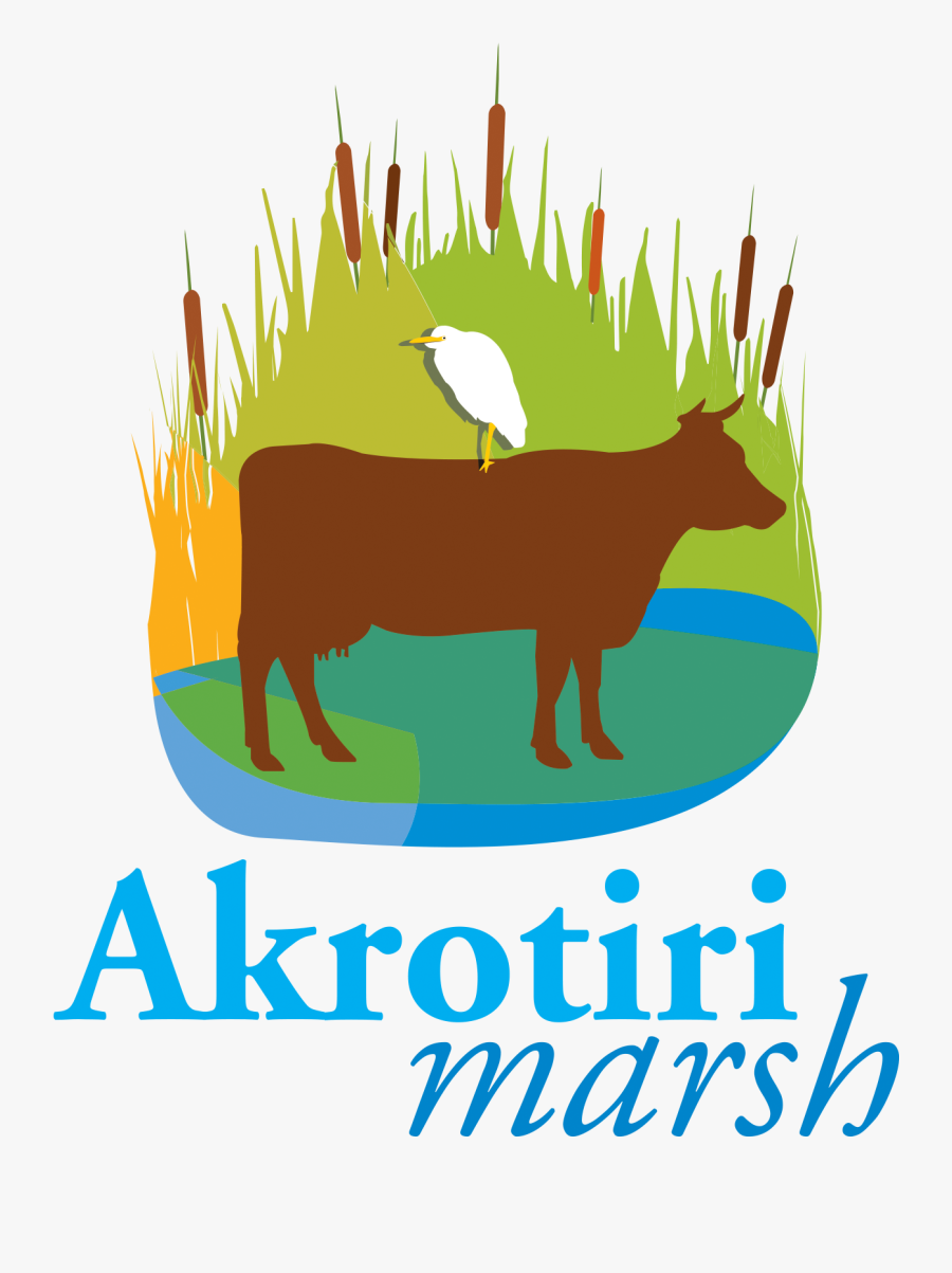 Grass Clipart Marsh - Illustration, Transparent Clipart