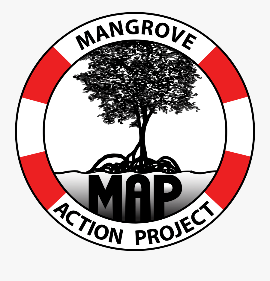 Mangrove Action Project, Transparent Clipart