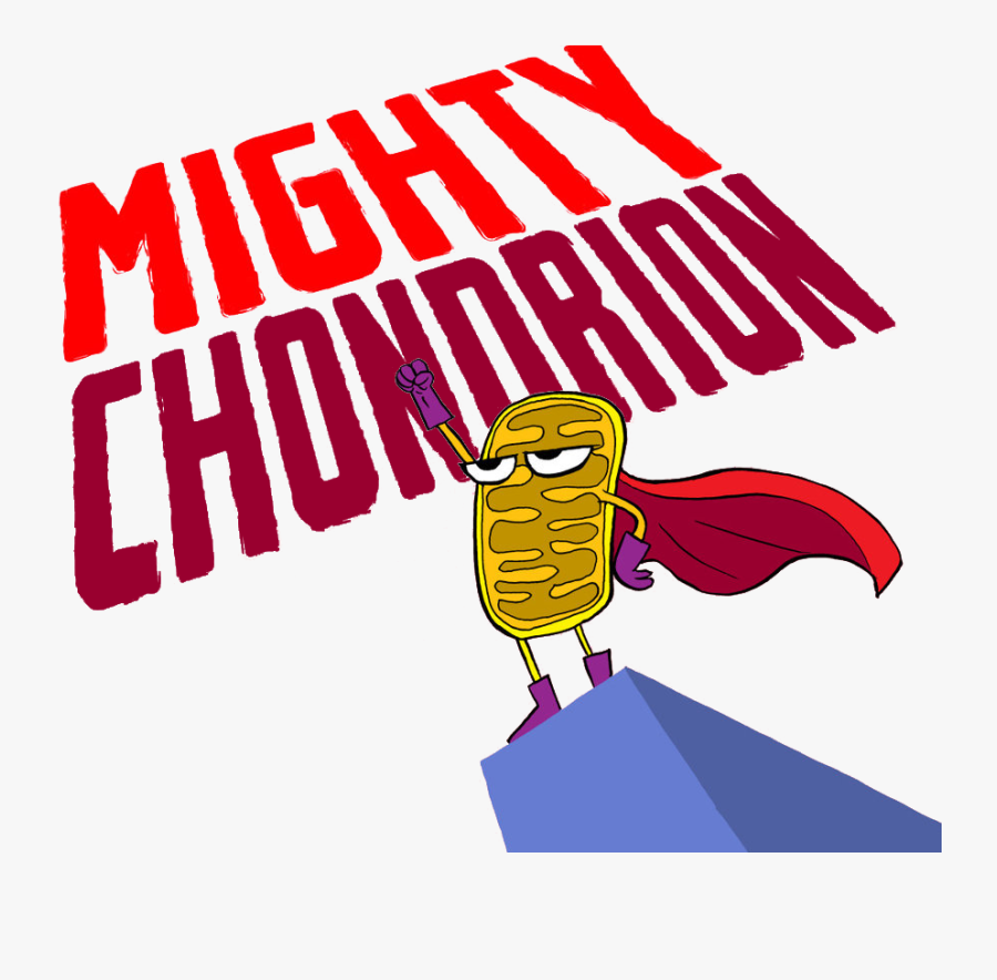 Healthy Clipart Muscle Tone - Illustration, Transparent Clipart