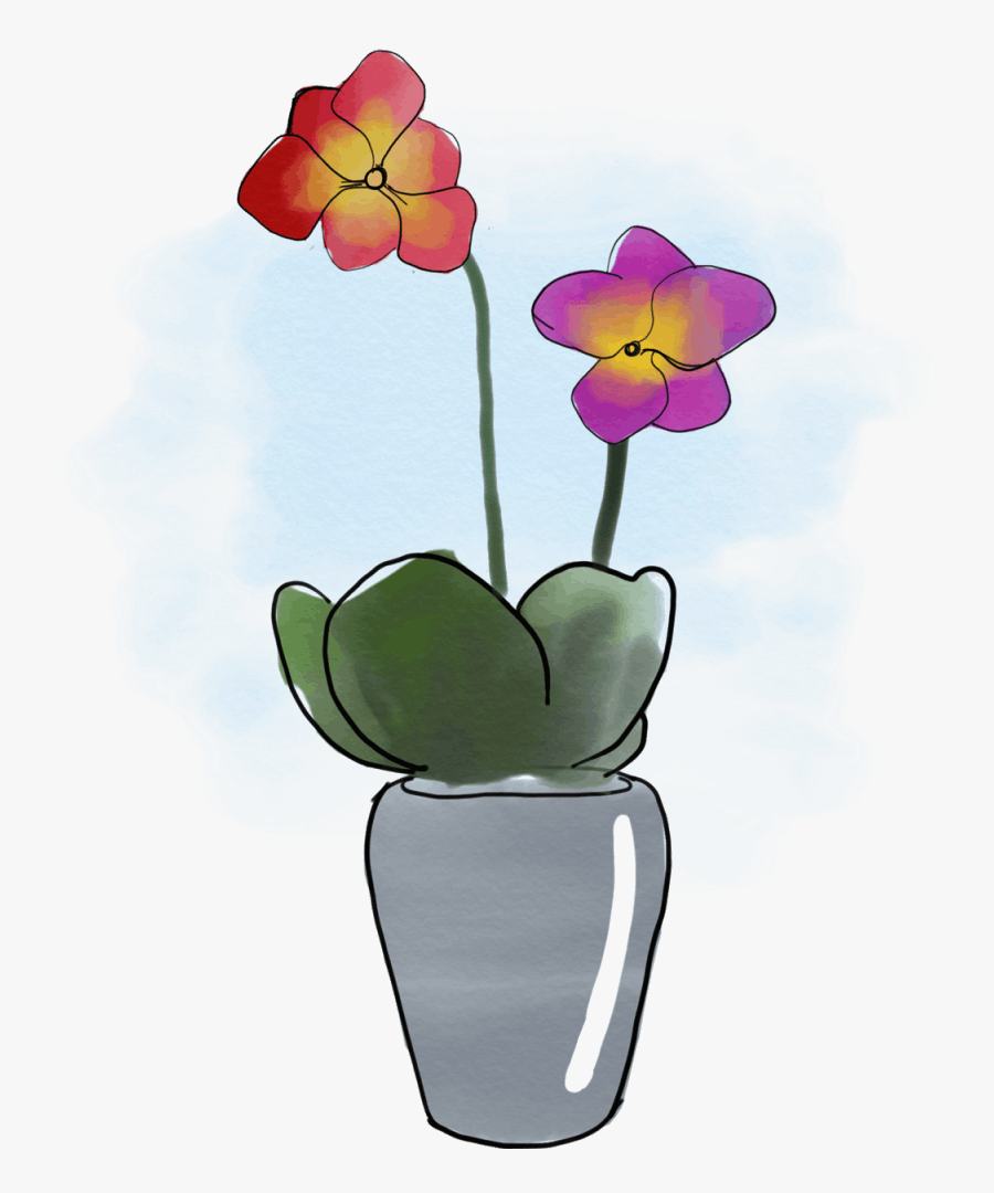 Sacred Lotus, Transparent Clipart