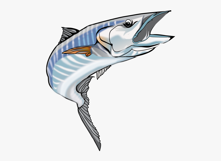 Index Of Boatique Wp - Kingfish Png, Transparent Clipart